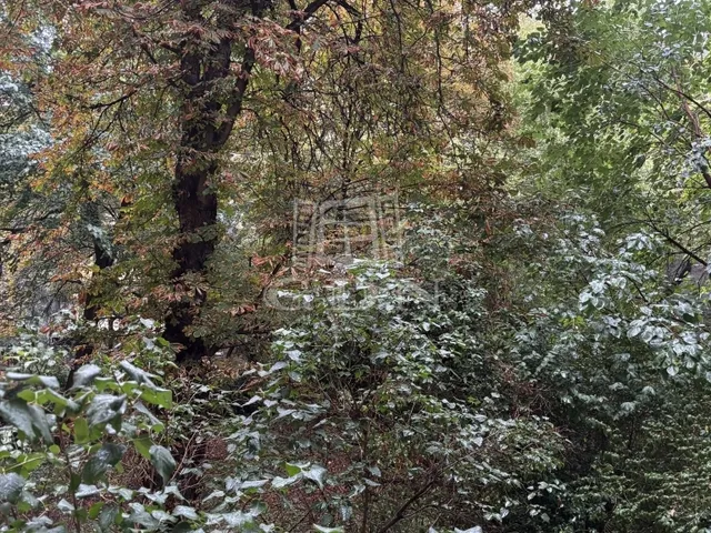 Eladó lakás Budapest XI. kerület 59 nm