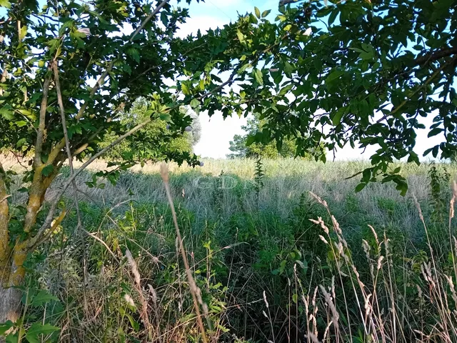 Eladó telek Szigliget 1555 nm