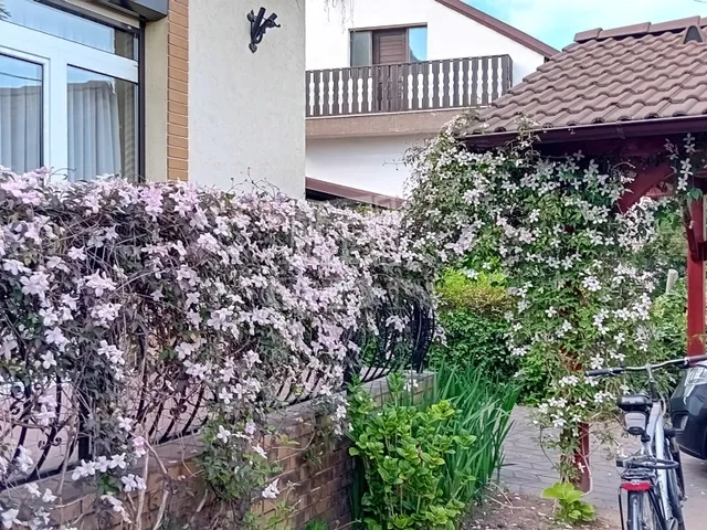 Eladó ház Gödöllő 165 nm