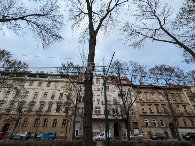 Eladó lakás Budapest II. kerület, Országút 99 nm