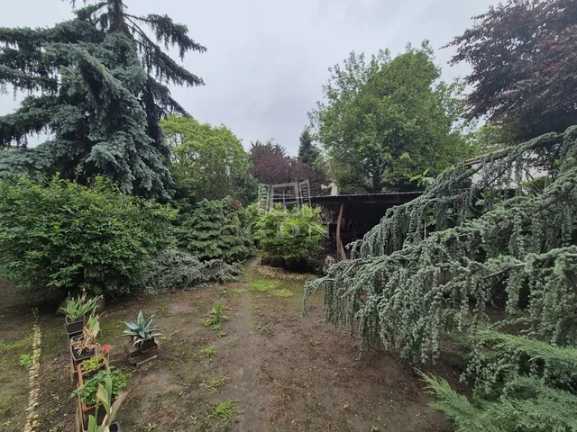 Eladó ház Budapest X. kerület 204 nm