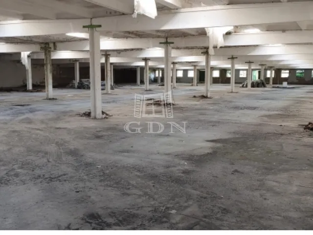 Eladó kereskedelmi és ipari ingatlan Cegléd 10577 nm