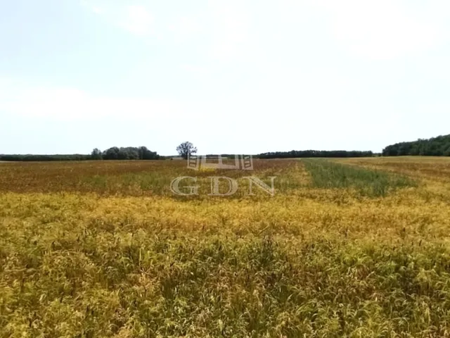 Eladó kereskedelmi és ipari ingatlan Vác, Máriaudvar 4683 nm