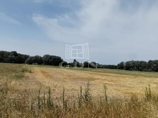 Eladó kereskedelmi és ipari ingatlan Újlengyel 107600 nm