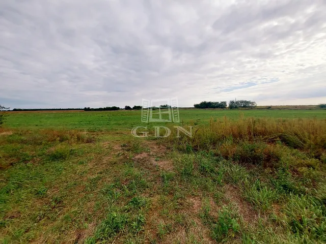 Eladó kereskedelmi és ipari ingatlan Újlengyel 107600 nm