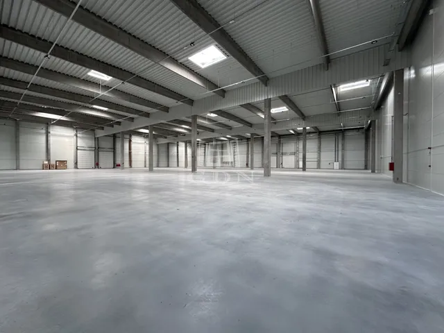 Kiadó kereskedelmi és ipari ingatlan Vecsés 11495 nm