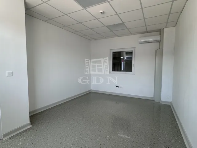 Kiadó kereskedelmi és ipari ingatlan Vecsés 11495 nm