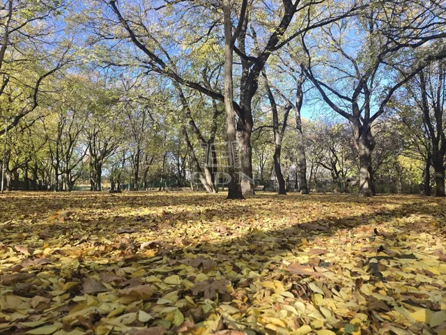 Eladó lakás Budapest XIV. kerület 46 nm