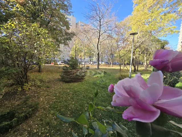 Eladó lakás Budapest XIV. kerület 46 nm