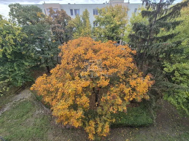 Eladó lakás Budapest X. kerület 54 nm