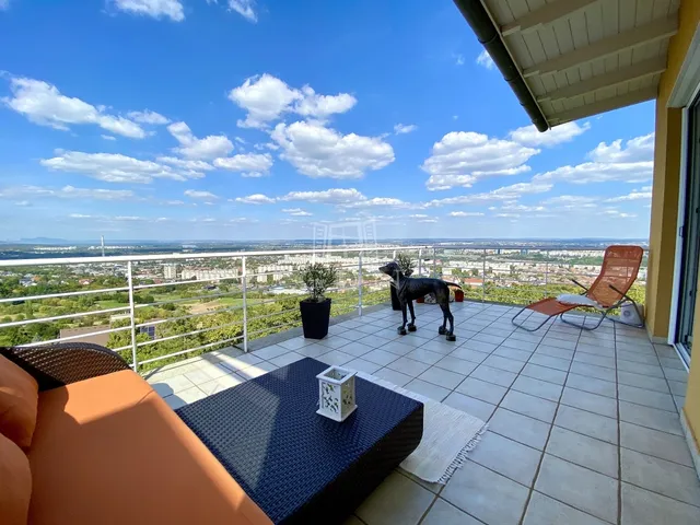 Eladó lakás Budapest II. kerület, Pálvölgy 135 nm