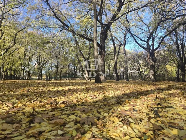 Eladó lakás Budapest XIV. kerület 46 nm