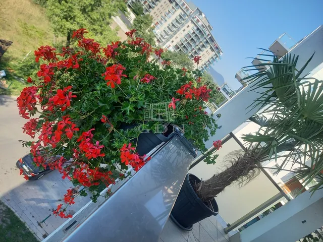 Eladó lakás Budapest XIII. kerület, Angyalföld 72 nm