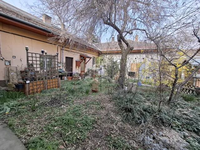 Kiadó lakás Budapest XV. kerület, Rákospalota 27 nm