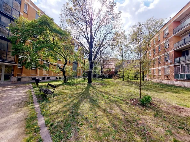 Eladó lakás Budapest XX. kerület 55 nm