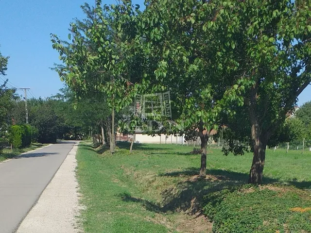 Eladó telek Pázmánd 1579 nm