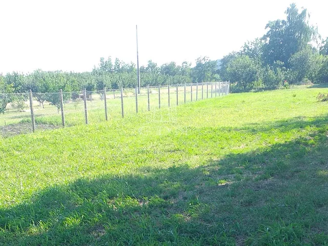 Eladó telek Pázmánd 1579 nm