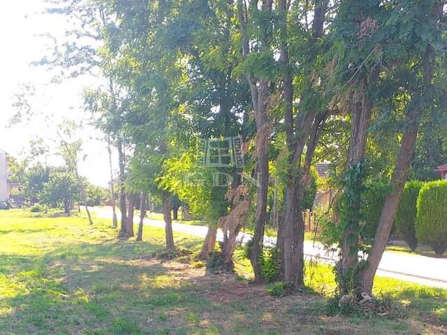 Eladó telek Pázmánd 1579 nm