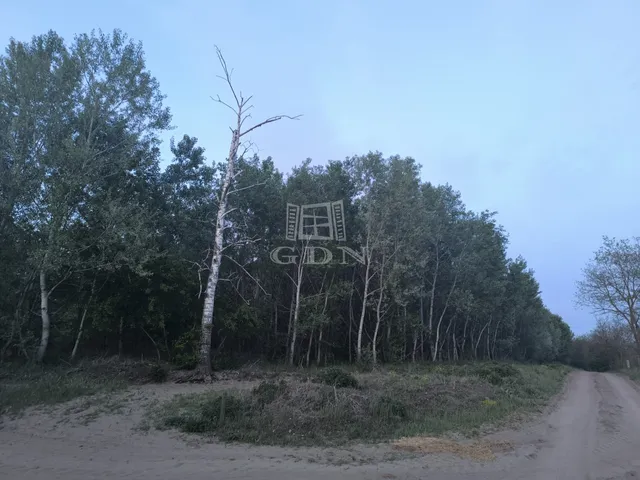 Eladó mezőgazdasági ingatlan Kakucs 25341 nm