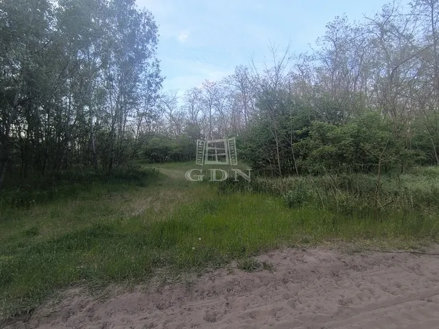 Eladó mezőgazdasági ingatlan Kakucs 25341 nm