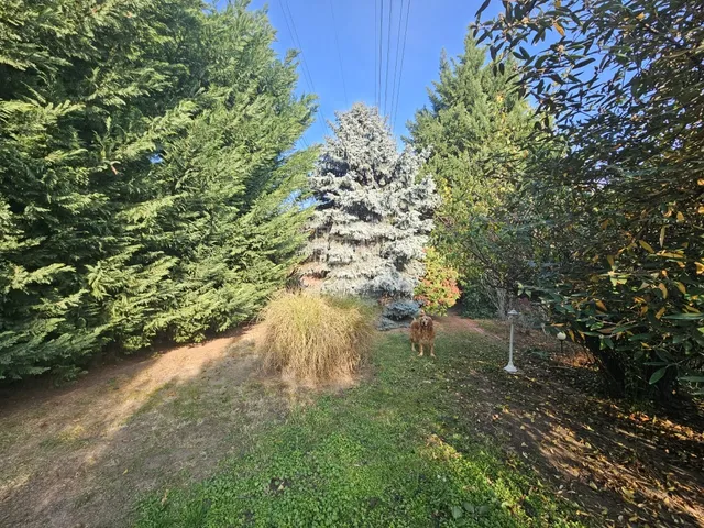 Eladó ház Diósd, Sashegy 103 nm