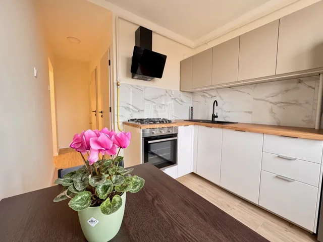 Kiadó lakás Budapest XI. kerület, Albertfalva 48 nm