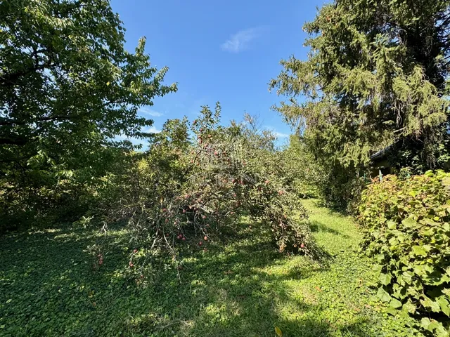 Eladó telek Diósd 2858 nm