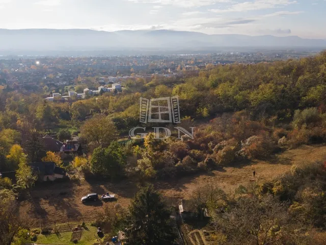 Eladó telek Vác, Papvölgy 3053 nm