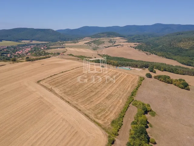 Eladó telek Szokolya 5280 nm