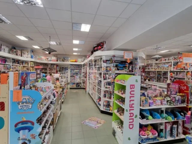 Kiadó kereskedelmi és ipari ingatlan Székesfehérvár, Belváros 208 nm