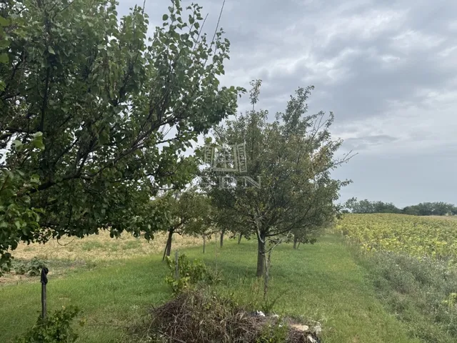 Eladó telek Isztimér 1502 nm