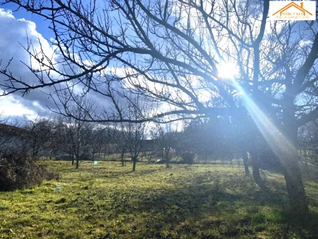 Eladó telek Sárszentmihály 806 nm