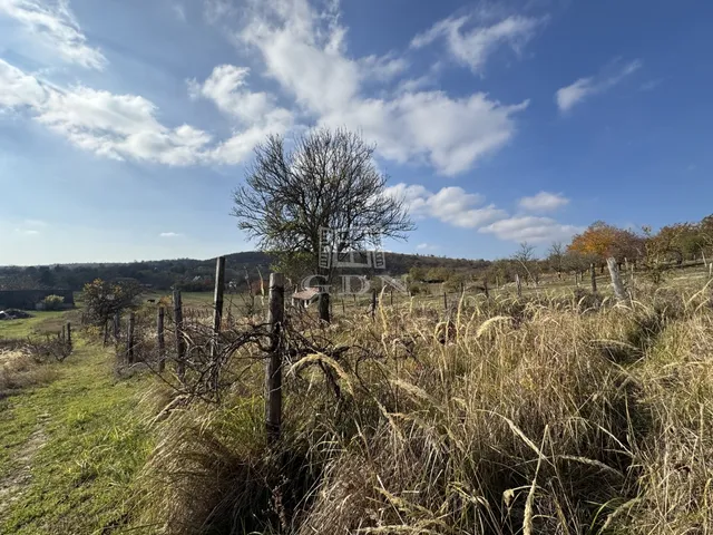 Eladó telek Csákvár 2579 nm