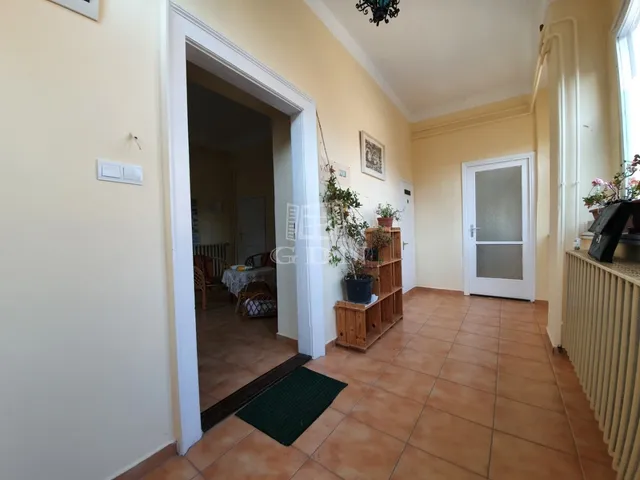 Kiadó kereskedelmi és ipari ingatlan Székesfehérvár, Belváros 50 nm