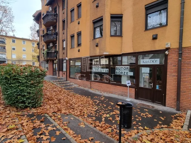 Kiadó kereskedelmi és ipari ingatlan Székesfehérvár 300 nm
