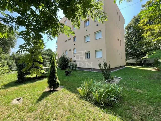 Kiadó lakás Székesfehérvár, Öreghegy 54 nm