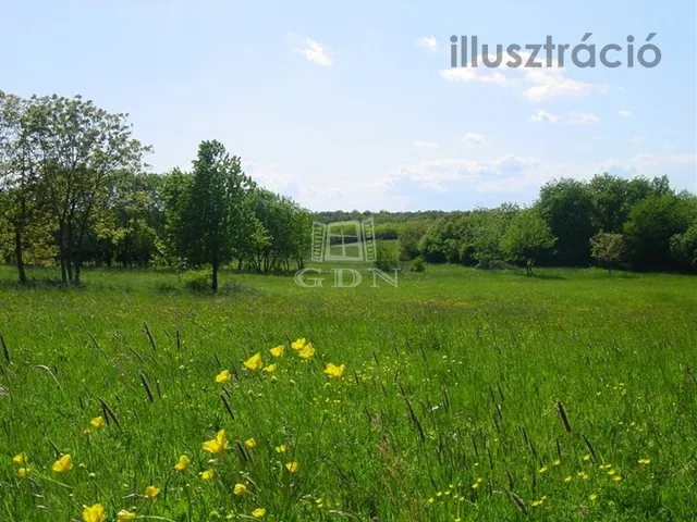 Eladó telek Pátka 1000 nm