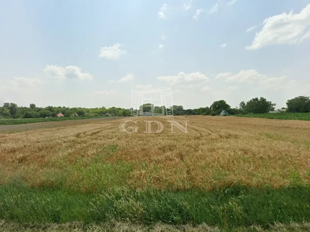 Eladó telek Pátka 1000 nm