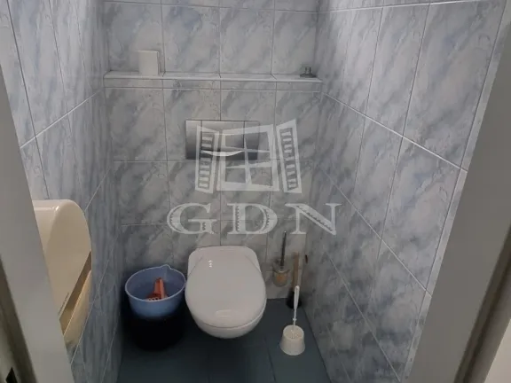 Kiadó kereskedelmi és ipari ingatlan Székesfehérvár, Felsőváros 175 nm