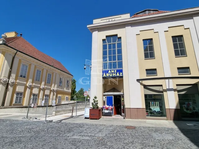 Kiadó kereskedelmi és ipari ingatlan Székesfehérvár, Belváros 480 nm