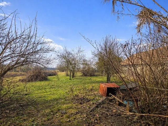 Eladó ház Sárszentmihály 80 nm