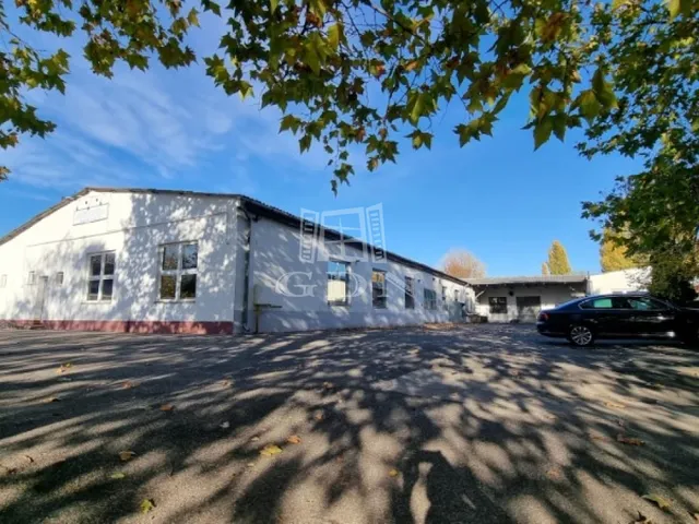 Eladó kereskedelmi és ipari ingatlan Székesfehérvár 1126 nm