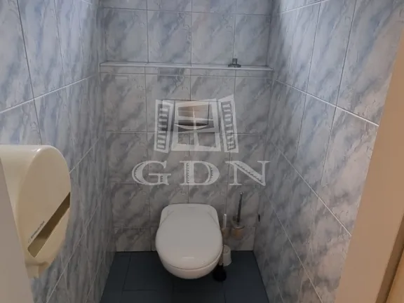 Kiadó kereskedelmi és ipari ingatlan Székesfehérvár, Felsőváros 175 nm