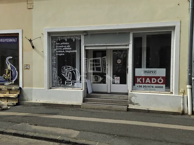 Kiadó kereskedelmi és ipari ingatlan Székesfehérvár, Belváros 85 nm