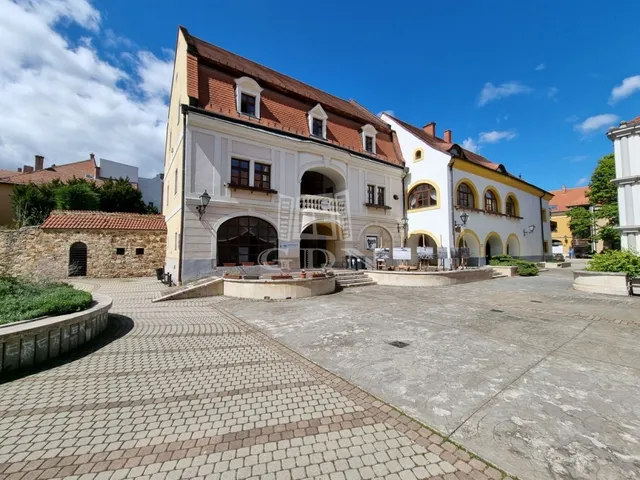 Kiadó kereskedelmi és ipari ingatlan Székesfehérvár, Belváros 108 nm