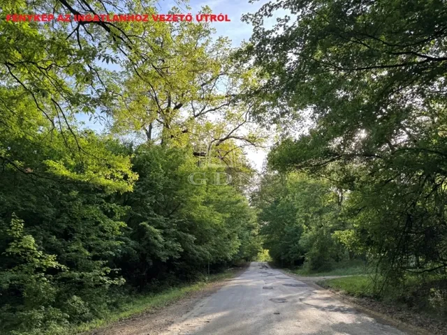 Eladó ház Gánt 150 nm