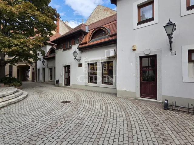 Eladó kereskedelmi és ipari ingatlan Székesfehérvár, Belváros 99 nm