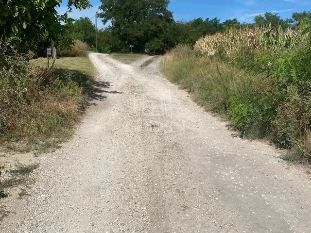 Eladó mezőgazdasági ingatlan Nagyigmánd 5021 nm