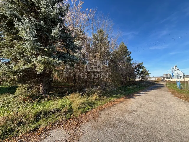 Eladó kereskedelmi és ipari ingatlan Bábolna 9951 nm