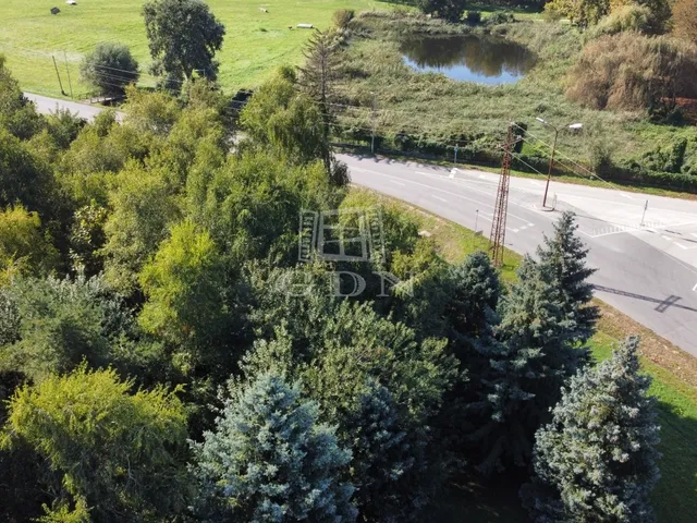 Eladó kereskedelmi és ipari ingatlan Bábolna 9951 nm